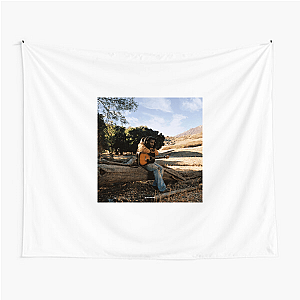 Shaboozey The New Sound Of Country Shaboozey Tapestries