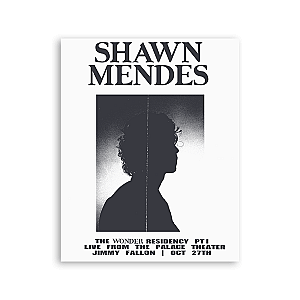 Shawn Mendes Posters - WONDER RESIDENCY PI LITHO I SM1908 [ID30950]