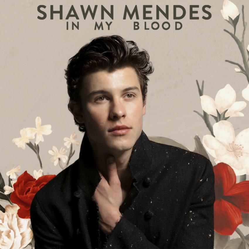 Shawn Mendes: In My Blood (Music Video 2018) - IMDb