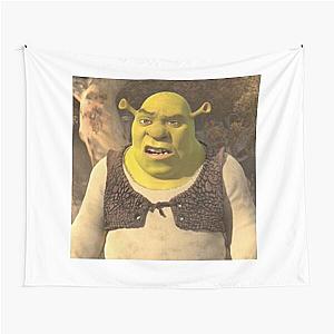 confused shrek Tapestry