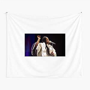 Shygirl Experimental Soul Shygirl Tapestries