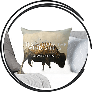 Silverstein Pillows Cover