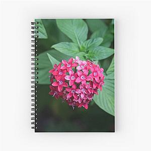 Simply Red Spiral Notebook