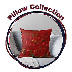 Simply Red Pillows