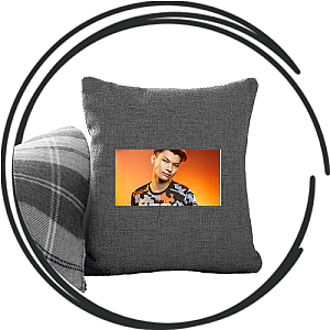 Sinatraa Pillows Cover
