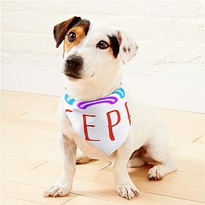 Rainbow Skeppy Pet Bandanas Premium Merch Store