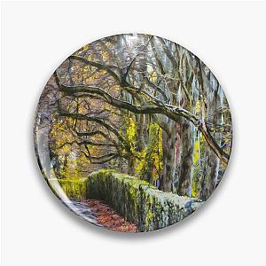 Sleepy Hollow Monet Style Pin