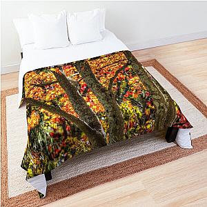 Autumn Colours Sleepy Hollow  Comforter