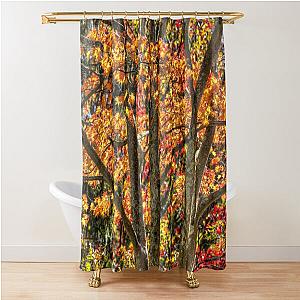 Autumn Colours Sleepy Hollow  Shower Curtain