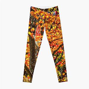 Autumn Colours Sleepy Hollow  Leggings