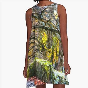 Sleepy Hollow Monet Style A-Line Dress