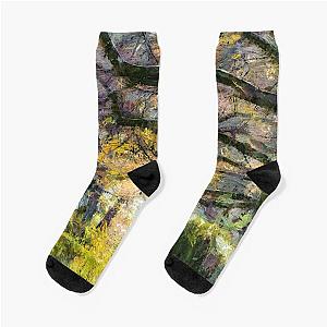 Sleepy Hollow Cemetery Monet  Socks