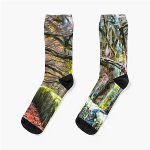 Sleepy Hollow Monet Style Socks