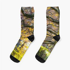 Sleepy Hollow Monet  Socks