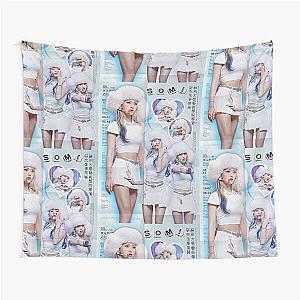 Somi y2k Tapestry