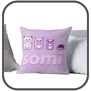 S O M I Pillows Cover