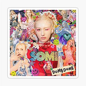 Somi  Dumb Photo Sticker