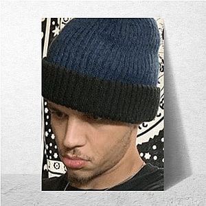 Spice King Cam From Mild to Wild Spice King Cam Posters