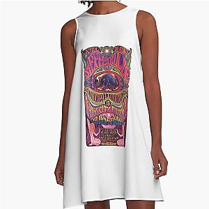 Steppenwolf Limited Edition Perfect A-Line Dress