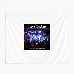 Steve Hackett Feel The Harmony Steve Hackett Tapestries