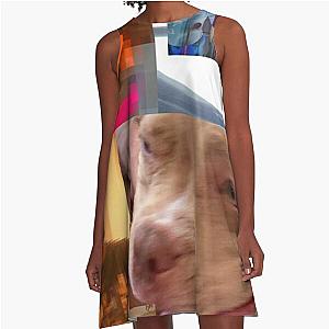 The Lo-Fis - Steve Lacy A-Line Dress