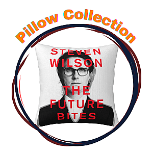 Steven Wilson Pillows