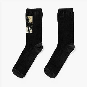 Steve Perry Fanart Socks