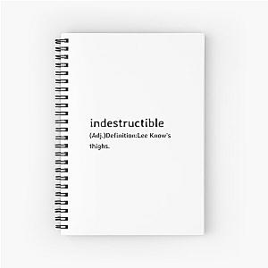 Stray Kids Notebooks - Han Jisung Comeback Concept Notebook