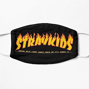 Stray Kids Face Masks - Stray Kids Members Flat Mask