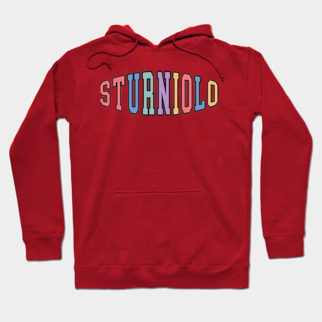 Chris sturniolo Hoodie TP0509 | Sturniolo Triplets Shop - Official ...