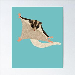 Sugar Glider