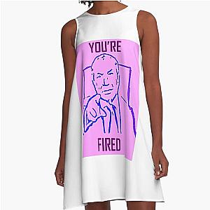 Sugar Mauve A Line Dress