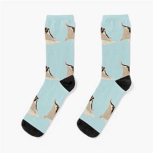 Sugar Socks