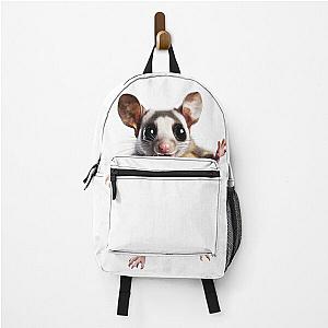 Adorable Pixar Inspired Sugar Glider Premium Quality Graphic Art Backpack