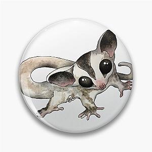 Cutest Baby Sugar Glider.