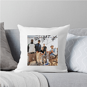 Sugar Ray Days Sugar Ray Pillows Cover