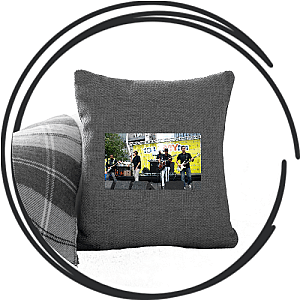Sugar Ray Pillows Cover