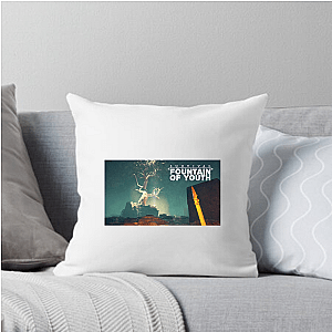 Survivor Vibes – Fountain of Youth Survival Fountain Of Youth Pillows Cover