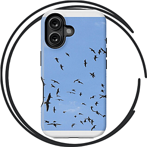 Swarm Cases