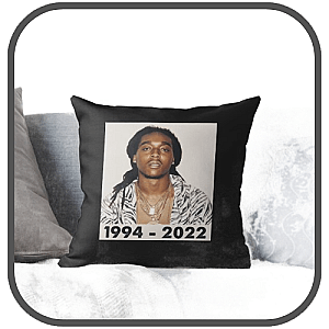 Takeoff Pillows Cover