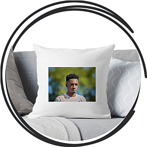 TBJZL Pillows Cover
