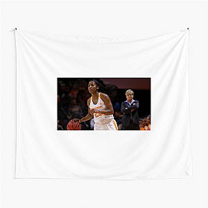 Fast-Break Specialist T’ea Cooper Tapestries
