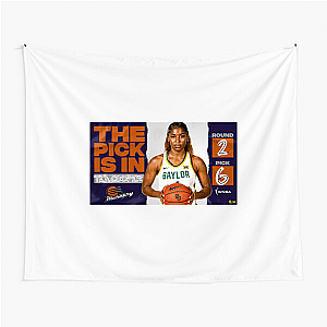 Bold Voice In Women’s Hoops T’ea Cooper Tapestries