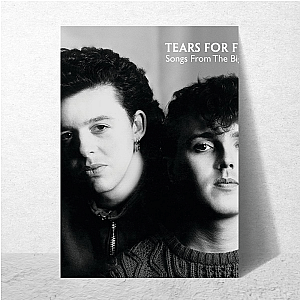 Still Crying in Stereo Tears For Fears Posters