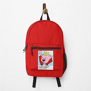 Technoblade Backpacks - Technoblade Backpack RB0206