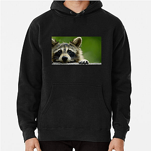 Walk The Americas Path The Americas Hoodies