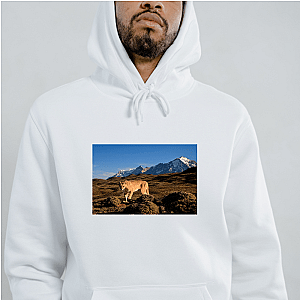 Explore The Americas The Americas Hoodies