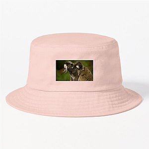 Nature Runs Deep The Americas Hats & Caps