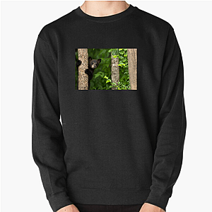 The Americas Unfold The Americas Sweatshirts