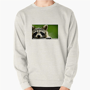 Walk The Americas Path The Americas Sweatshirts